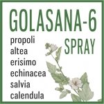 GOLASANA-6