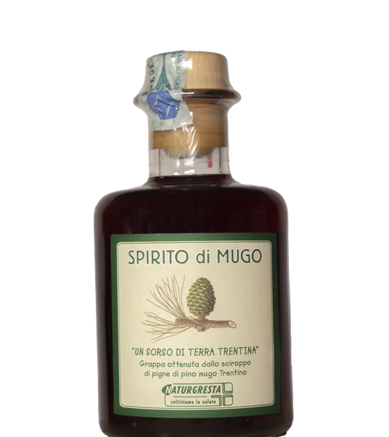 SPIRITO DI MUGO