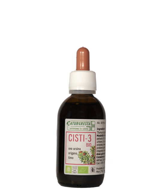 CISTI-3