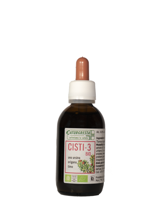 CISTI-3