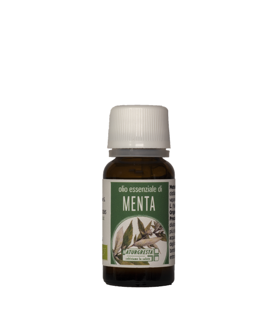 MENTA OE