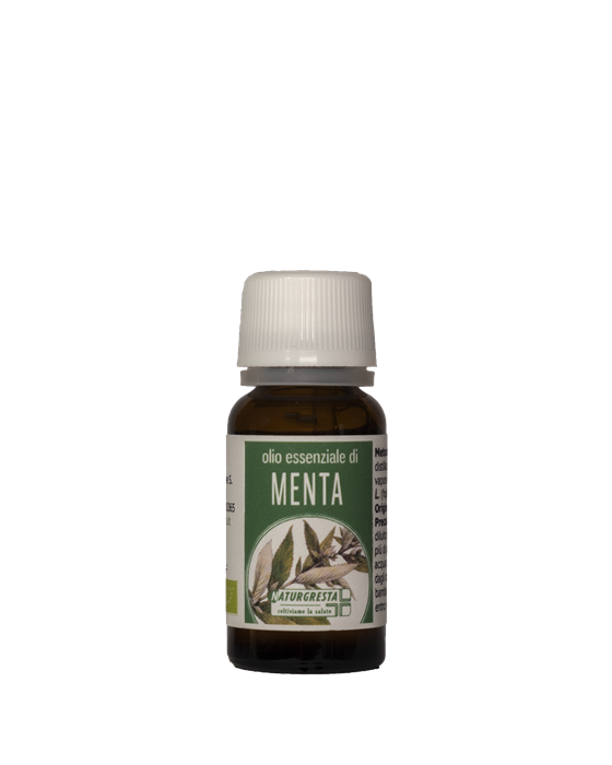 MENTA OE