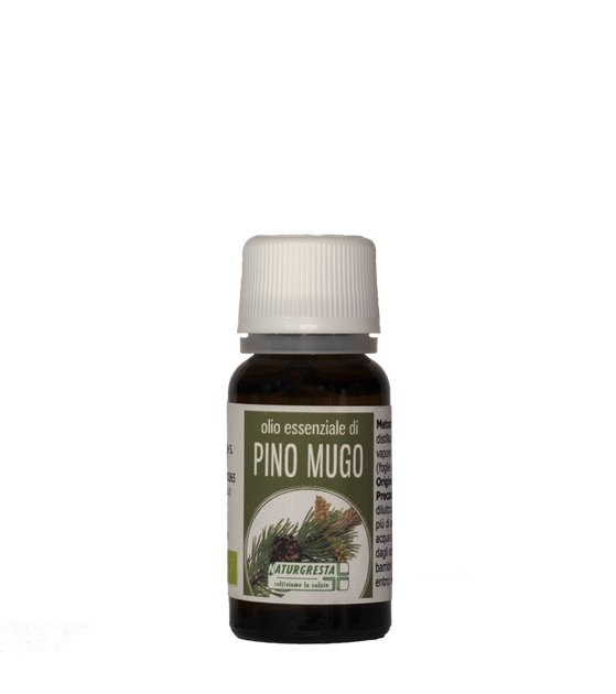 PINO MUGO OE
