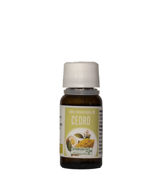 CEDRO OE