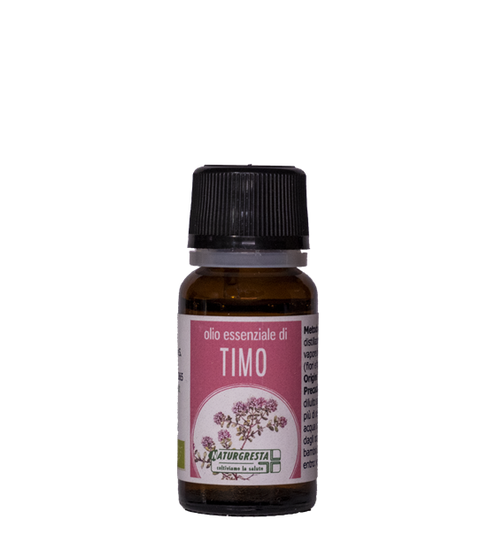 TIMO OE