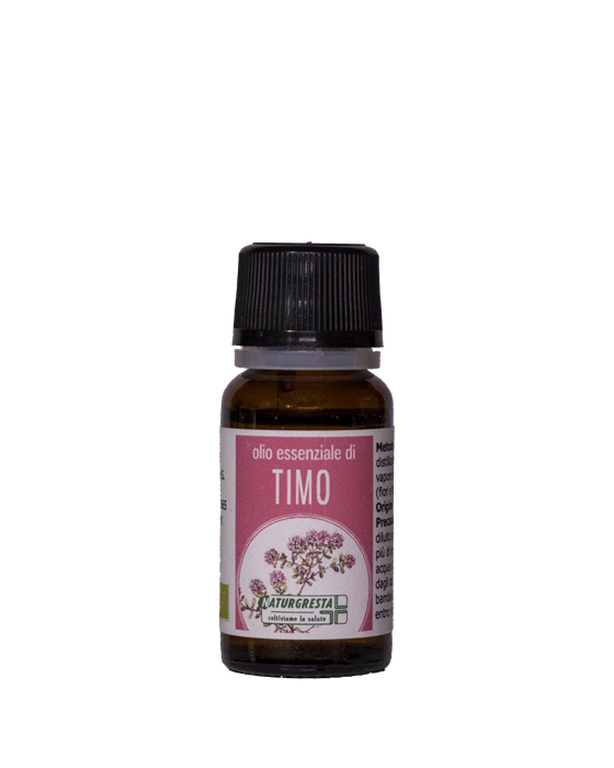 TIMO OE