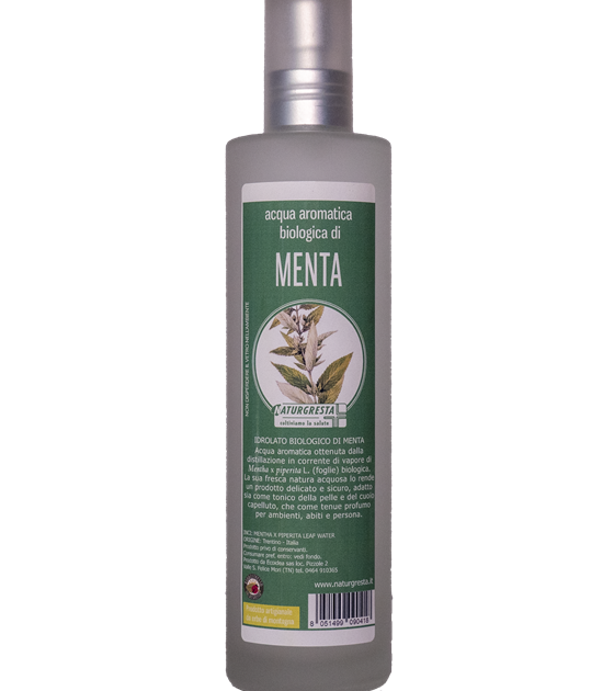 MENTA AA