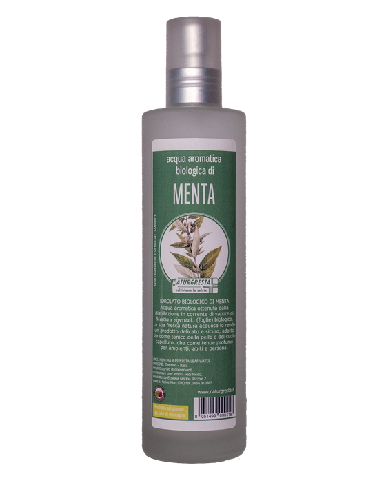 MENTA AA