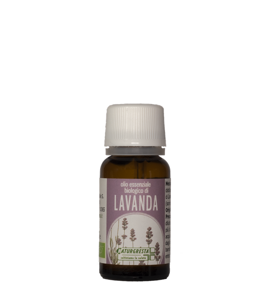 LAVANDA OE