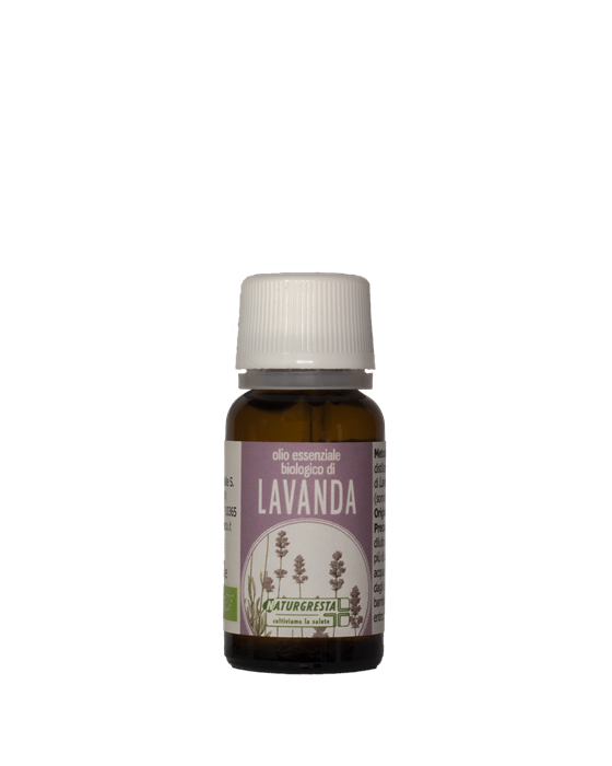 LAVANDA OE