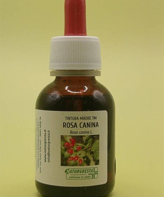 ROSA CANINA TM