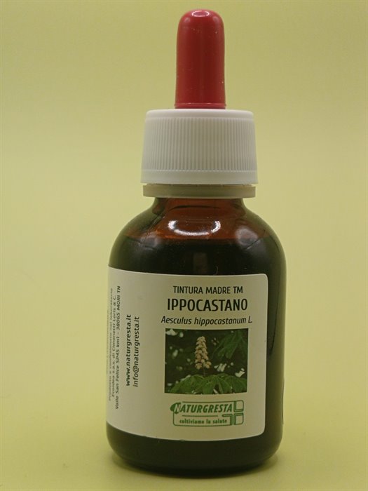 IPPOCASTANO TM
