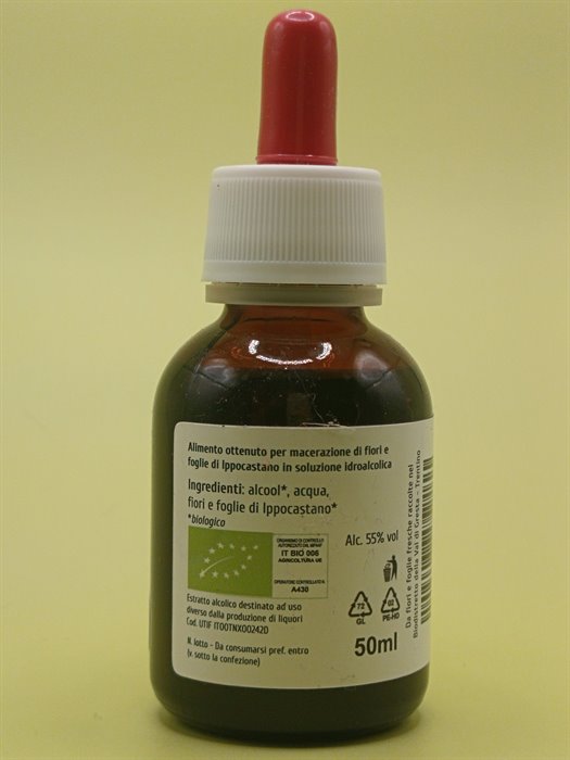 IPPOCASTANO TM - immagine 2