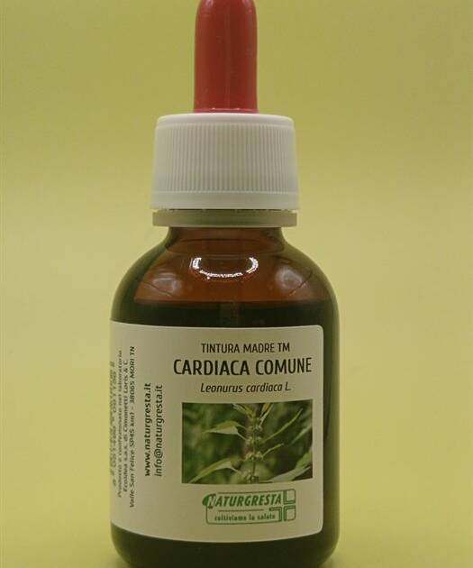 CARDIACA COMUNE TM
