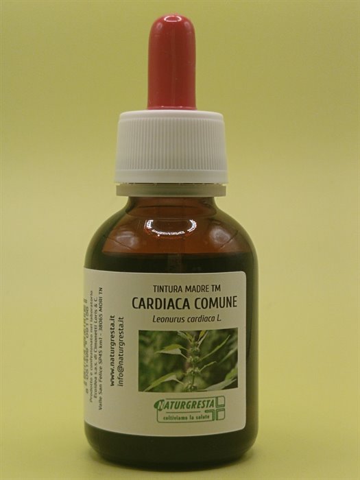 CARDIACA COMUNE TM