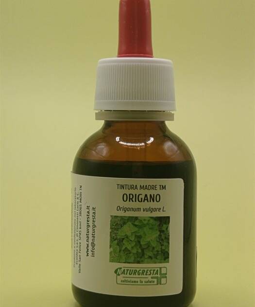 ORIGANO TM