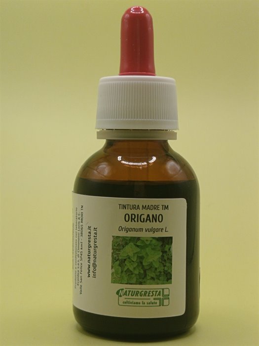 ORIGANO TM