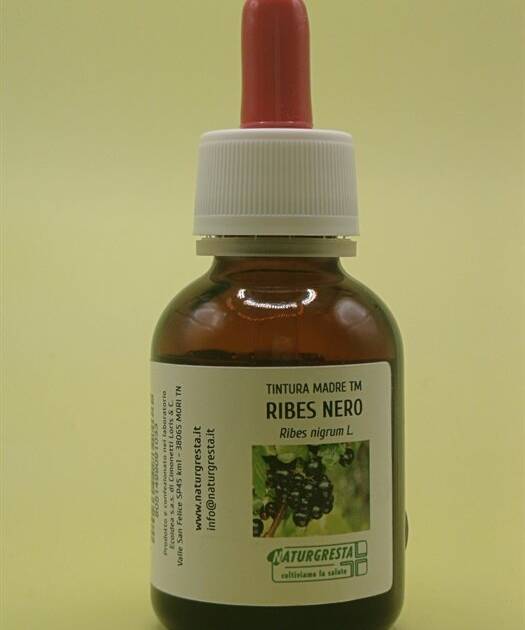 RIBES NERO TM