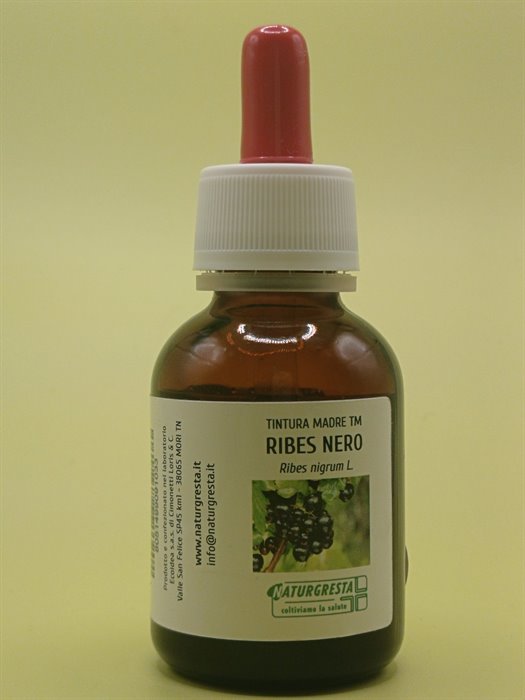 RIBES NERO TM