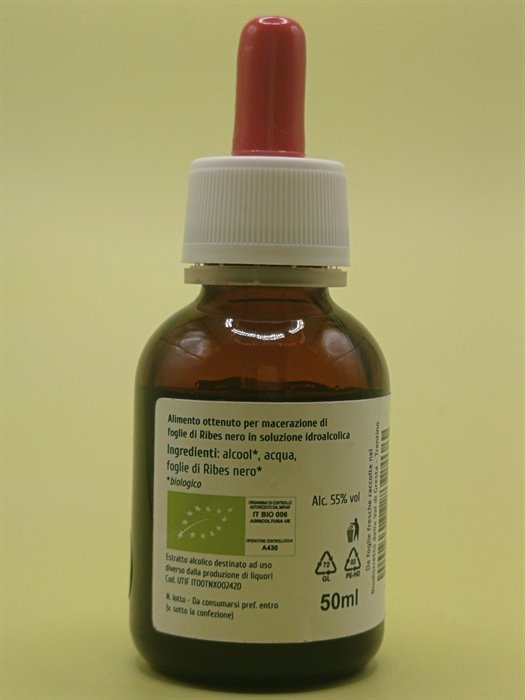 RIBES NERO TM - immagine 3