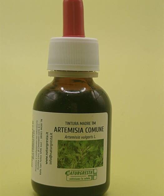 ARTEMISIA COMUNE TM