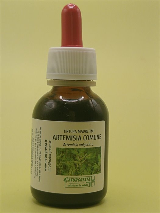ARTEMISIA COMUNE TM