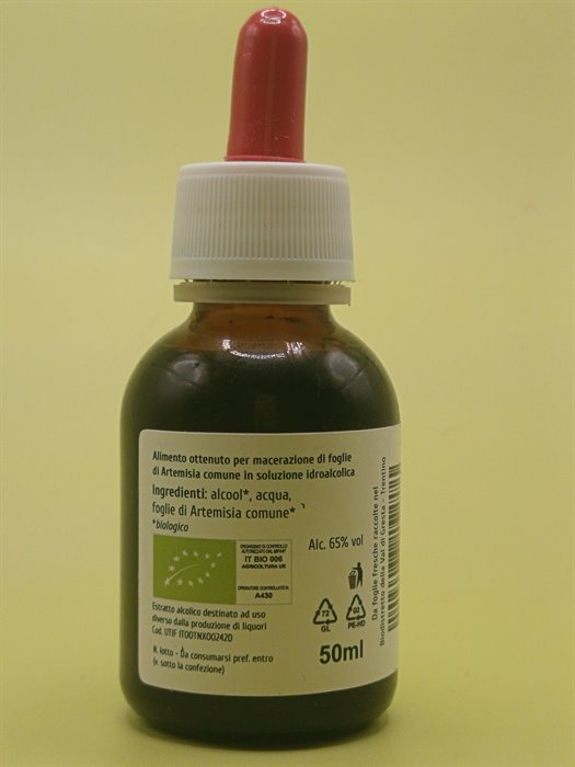 ARTEMISIA COMUNE TM - immagine 2