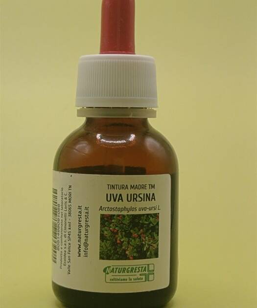 UVA URSINA TM