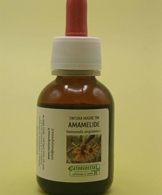 AMAMELIDE TM