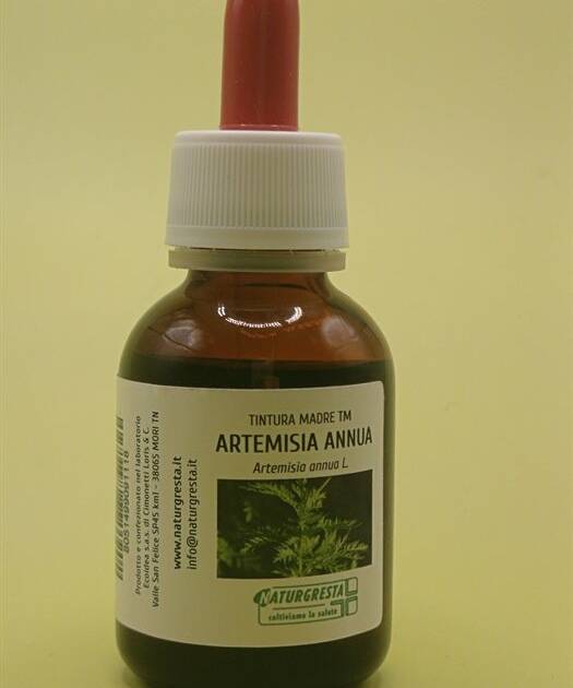 ARTEMISIA ANNUA TM