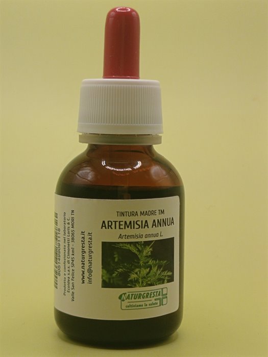 ARTEMISIA ANNUA TM