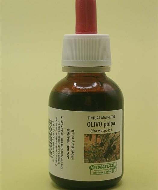 OLIVO POLPA TM