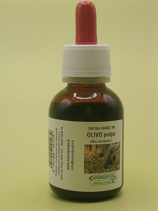 OLIVO POLPA TM