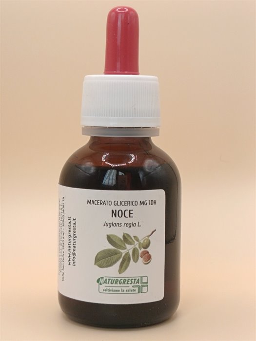 NOCE MG 1DH - immagine 2