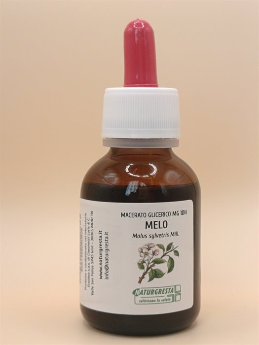 MELO MG 1DH - immagine 2