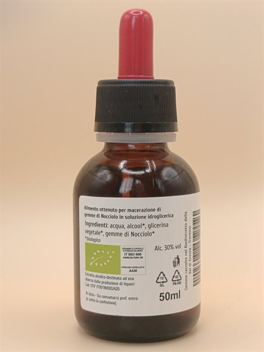 NOCCIOLO MG 1DH