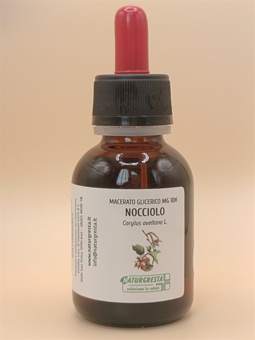 NOCCIOLO MG 1DH - immagine 2