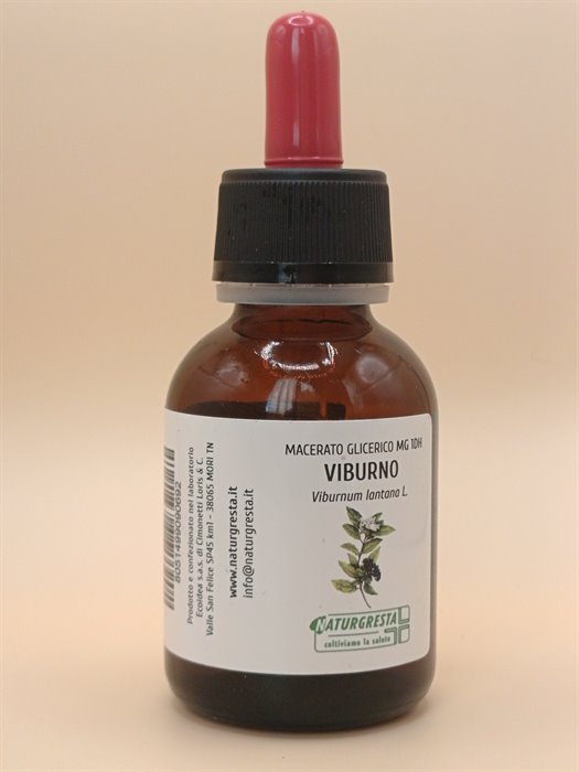 VIBURNO MG 1DH - immagine 2