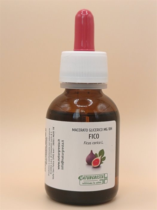 FICO MG 1DH - immagine 2