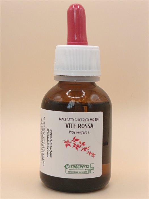 VITE ROSSA MG 1DH - immagine 2