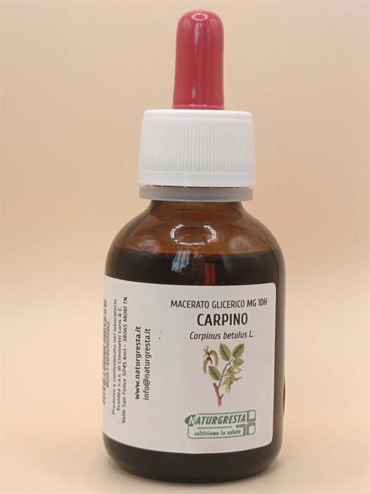 CARPINO MG 1DH - immagine 2