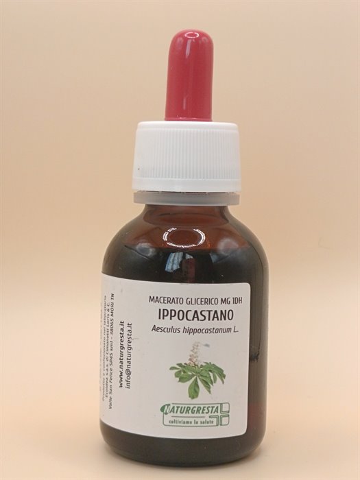 IPPOCASTANO MG 1DH - immagine 2