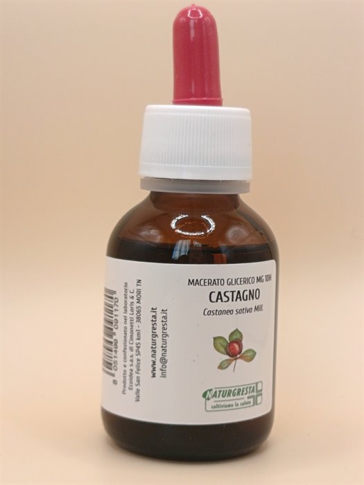 CASTAGNO MG 1DH - immagine 2