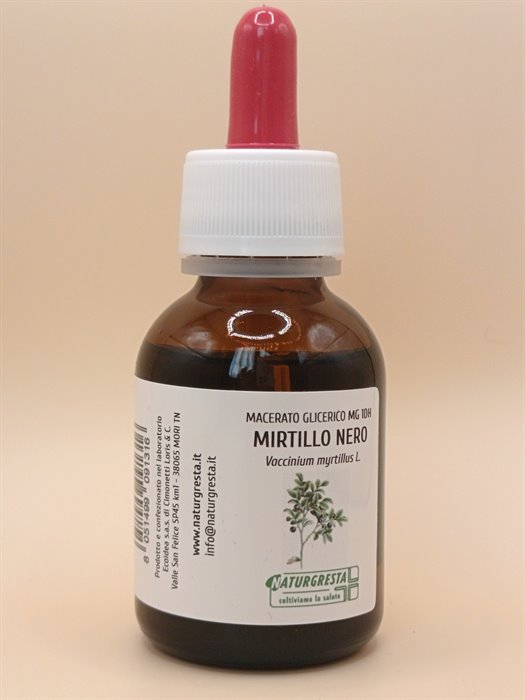 MIRTILLO NERO MG 1DH - immagine 2