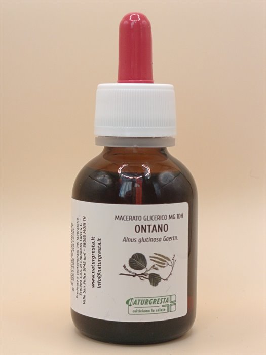 ONTANO MG 1DH - immagine 2