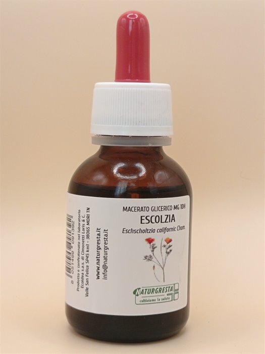 ESCOLZIA MG 1DH - immagine 2