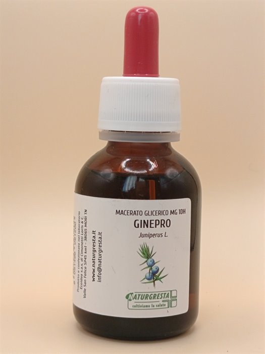 GINEPRO MG 1DH - immagine 2
