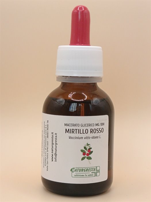 MIRTILLO ROSSO MG 1DH - immagine 2