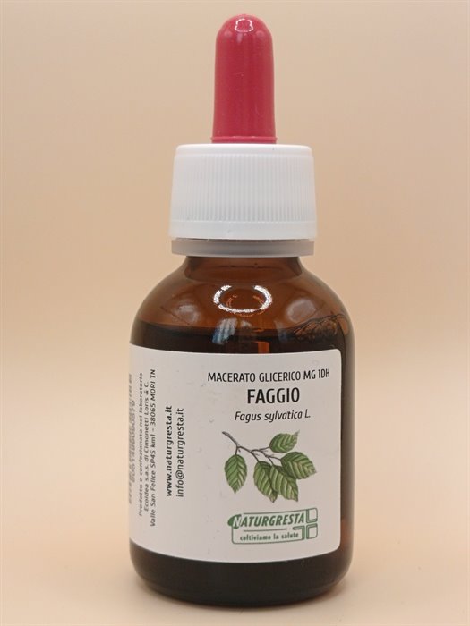 FAGGIO MG 1DH - immagine 2