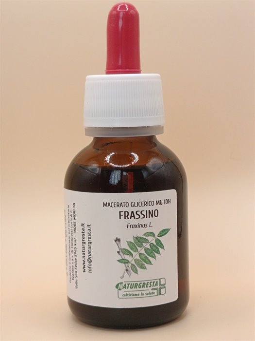 FRASSINO MG 1DH - immagine 2